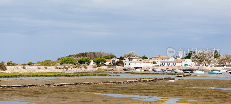 村庄和卢瓦港在Ile de Re岛上，在Charente-Maritime，法国